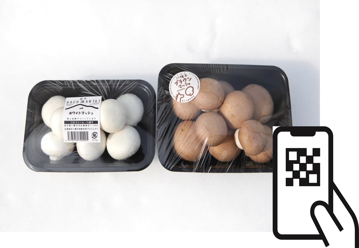 競走馬のセカンドキャリア、マッシュルーム、ブロックチェーン | フードアクションフォーホーシーズ - food-action-for-horses.jp